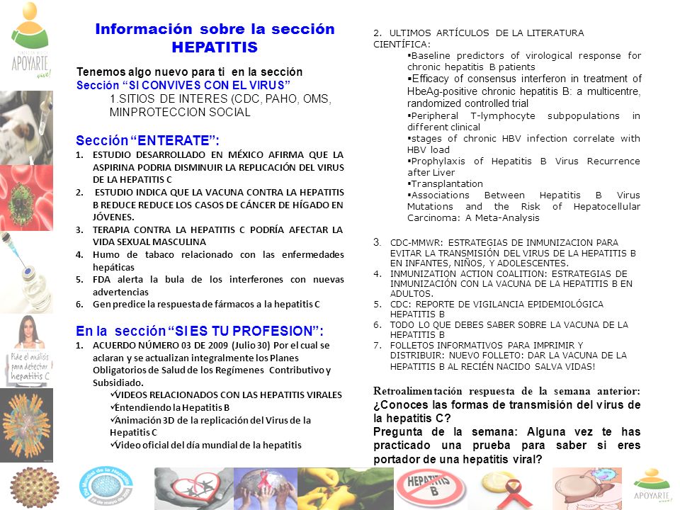informacion sobre la hepatitis b